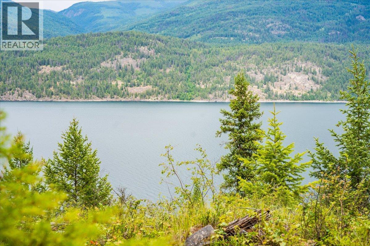Lower Arrow Lake Lot# 5, Castlegar, British Columbia  V1N 3H9 - Photo 32 - 10393650