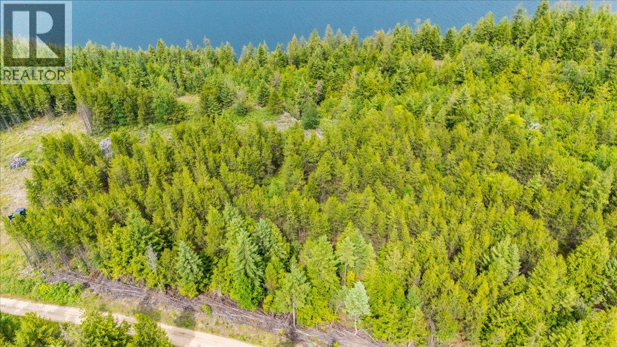 Lower Arrow Lake Lot# 5, Castlegar, British Columbia  V1N 3H9 - Photo 34 - 10393650