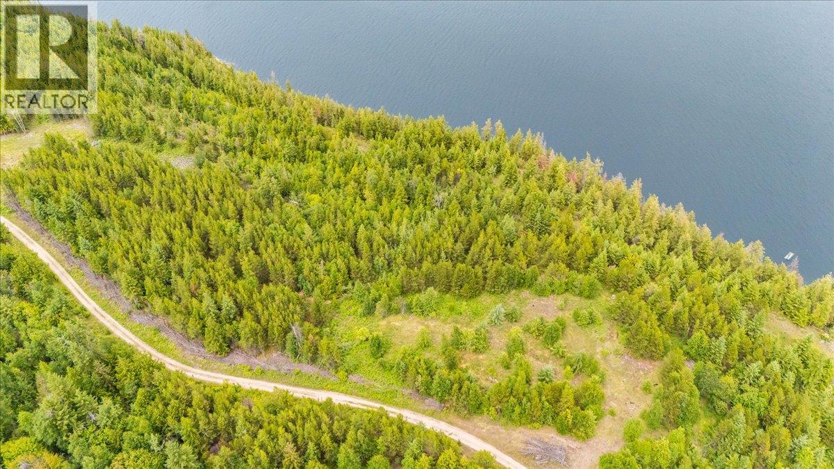 Lower Arrow Lake Lot# 5, Castlegar, British Columbia  V1N 3H9 - Photo 37 - 10393650