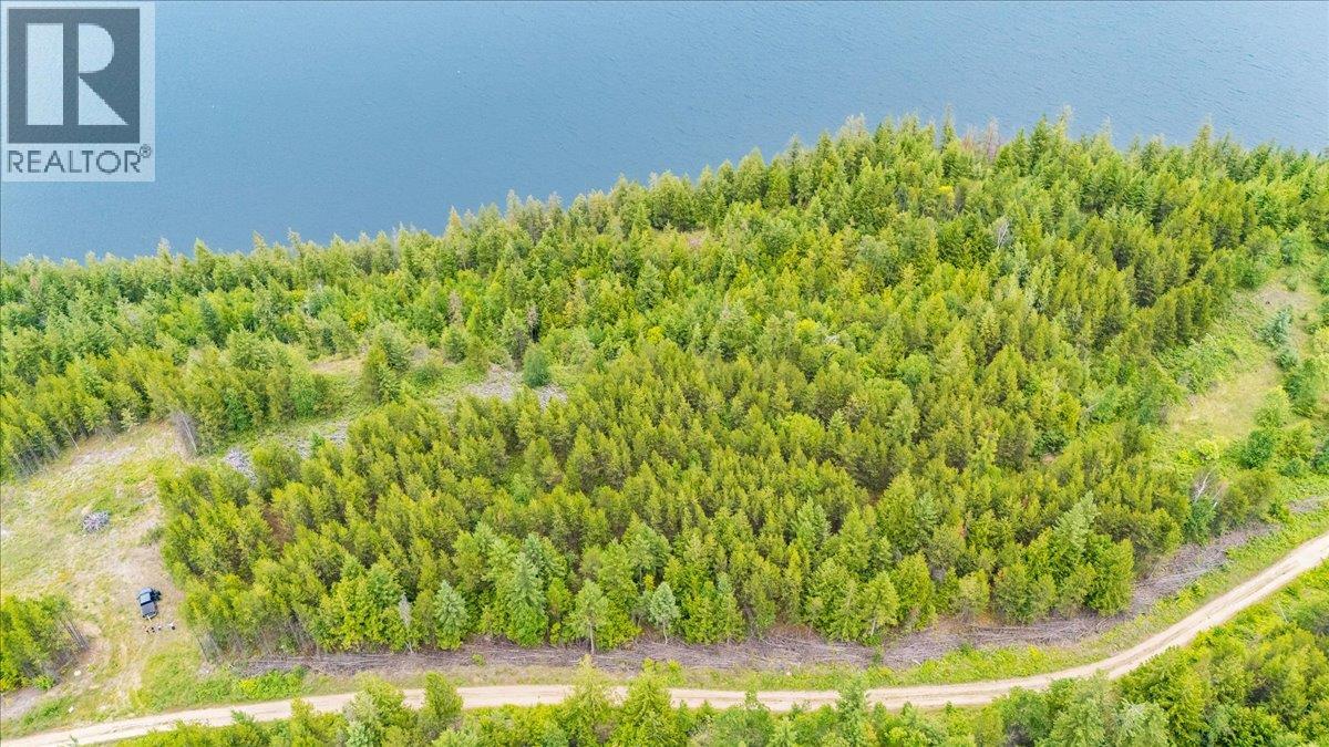Lower Arrow Lake Lot# 5, Castlegar, British Columbia  V1N 3H9 - Photo 38 - 10393650