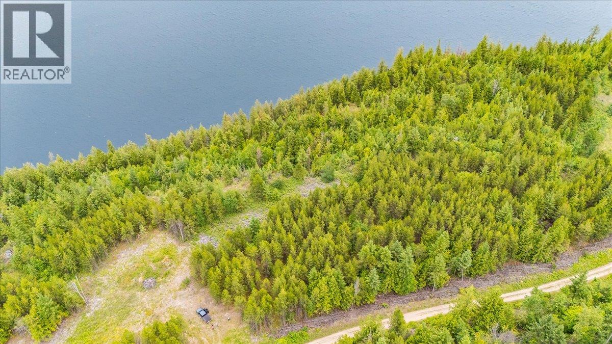 Lower Arrow Lake Lot# 5, Castlegar, British Columbia  V1N 3H9 - Photo 39 - 10393650