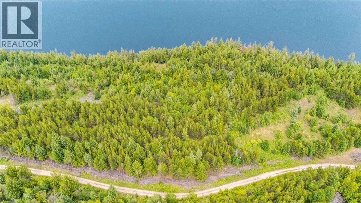 Lower Arrow Lake Lot# 5, Castlegar, British Columbia  V1N 3H9 - Photo 4 - 10393650