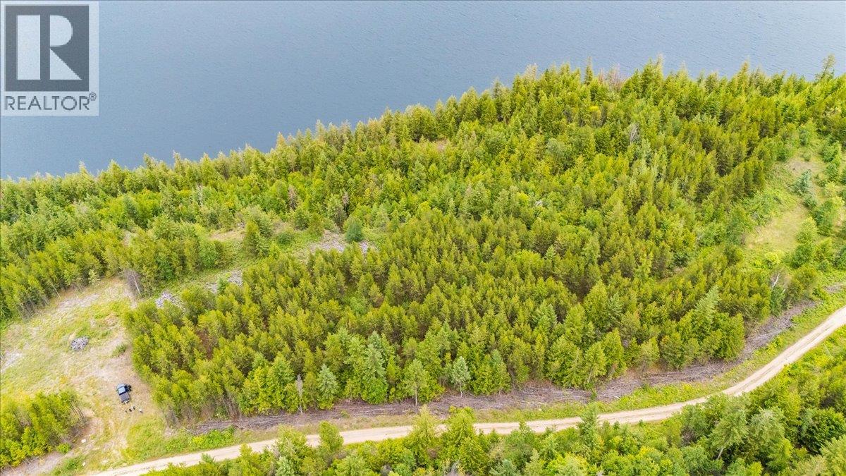 Lower Arrow Lake Lot# 5, Castlegar, British Columbia  V1N 3H9 - Photo 40 - 10393650