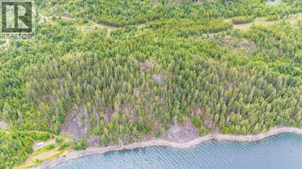 Lower Arrow Lake Lot# 5, Castlegar, British Columbia  V1N 3H9 - Photo 5 - 10393650