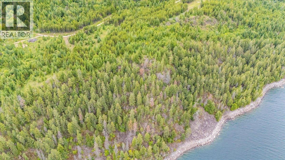Lower Arrow Lake Lot# 5, Castlegar, British Columbia  V1N 3H9 - Photo 6 - 10393650
