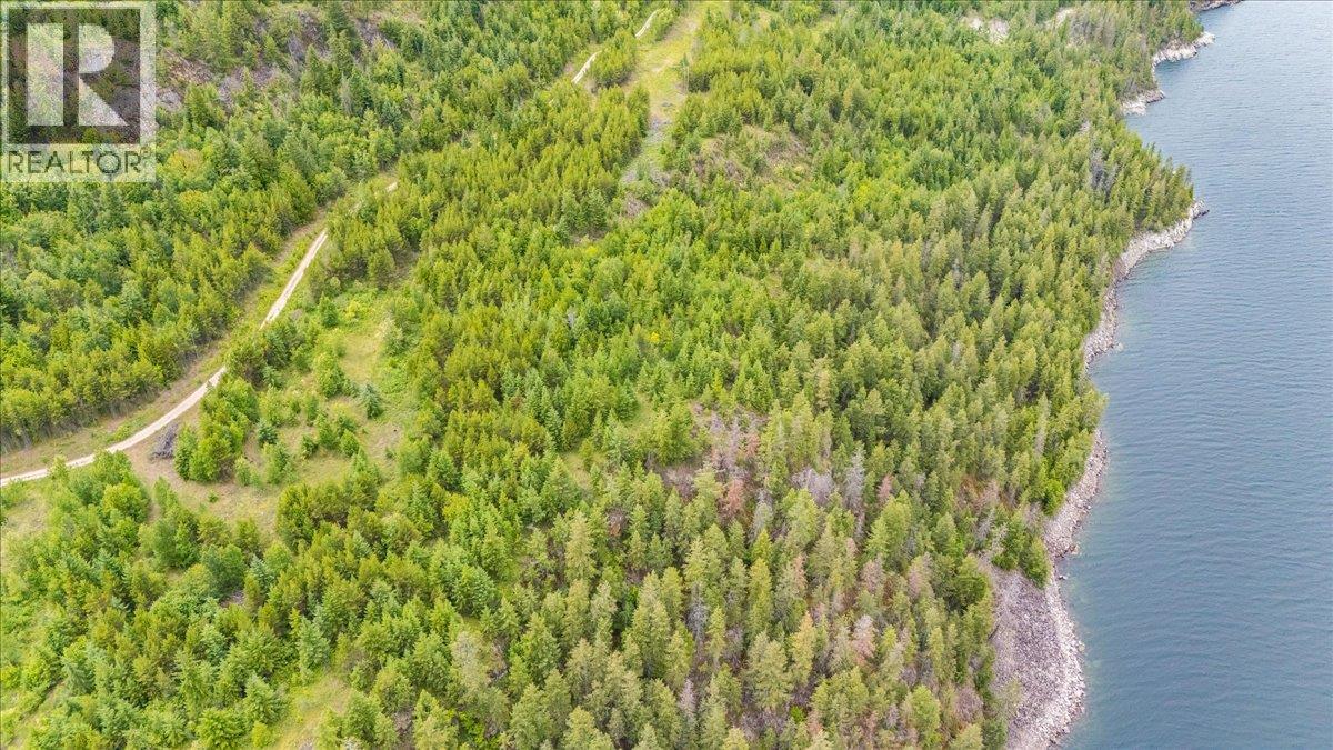 Lower Arrow Lake Lot# 5, Castlegar, British Columbia  V1N 3H9 - Photo 9 - 10393650