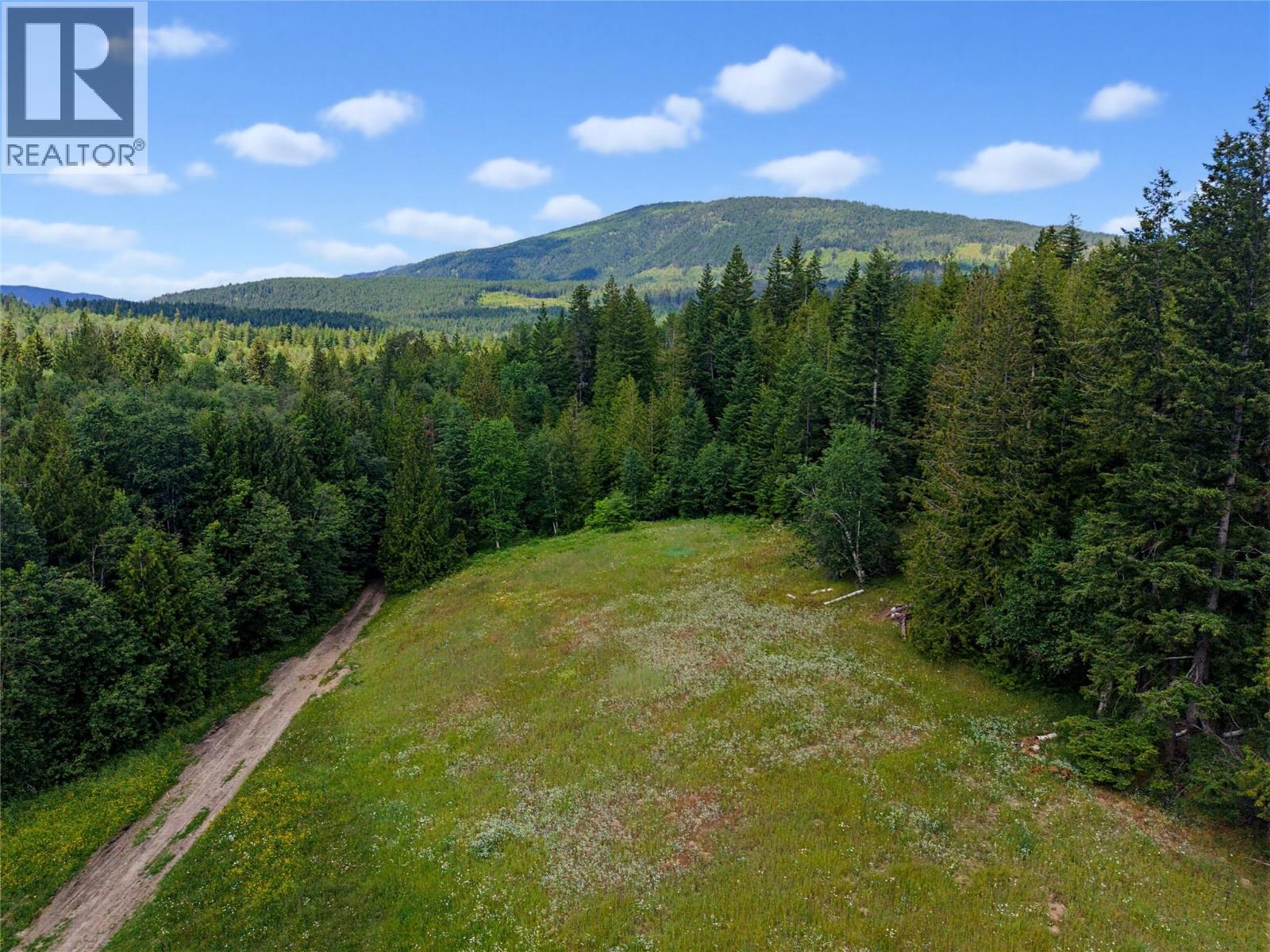 Wrights Mill Road, Tappen, British Columbia  V0E 2X0 - Photo 11 - 10394021