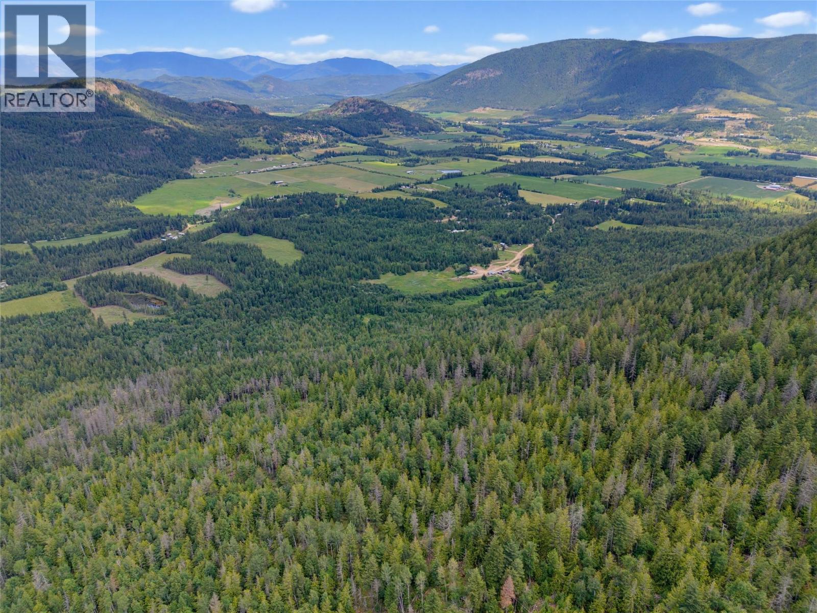 Wrights Mill Road, Tappen, British Columbia  V0E 2X0 - Photo 5 - 10394021