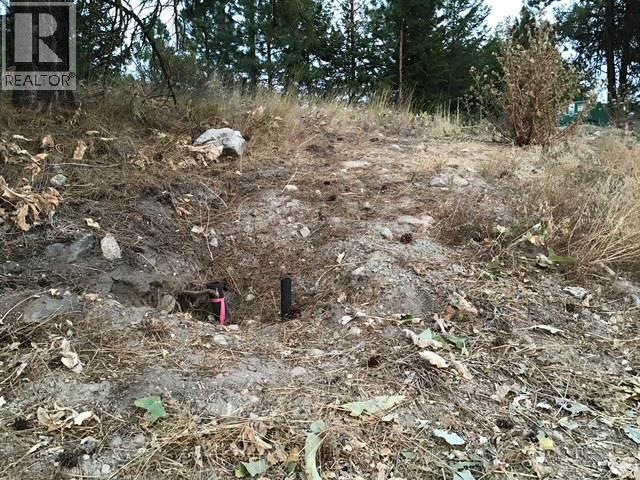470 Sasquatch Trail Trail, Osoyoos, British Columbia  V0H 1V6 - Photo 10 - 10394006