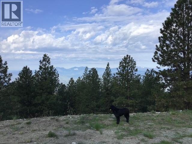 470 Sasquatch Trail Trail, Osoyoos, British Columbia  V0H 1V6 - Photo 12 - 10394006
