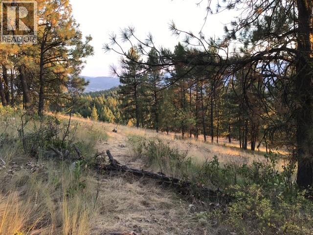 470 Sasquatch Trail Trail, Osoyoos, British Columbia  V0H 1V6 - Photo 14 - 10394006