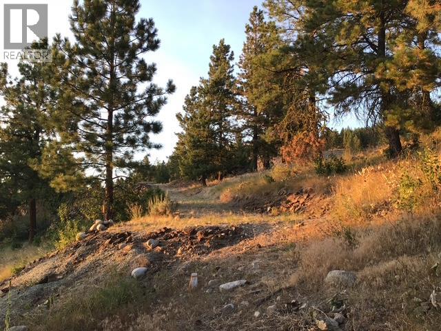 470 Sasquatch Trail Trail, Osoyoos, British Columbia  V0H 1V6 - Photo 15 - 10394006