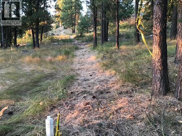 470 Sasquatch Trail Trail, Osoyoos, British Columbia  V0H 1V6 - Photo 16 - 10394006