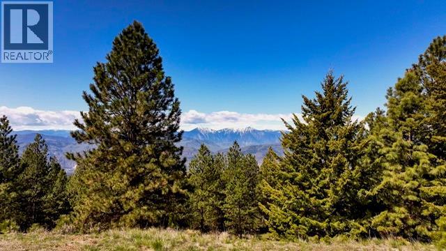 470 Sasquatch Trail Trail, Osoyoos, British Columbia  V0H 1V6 - Photo 3 - 10394006