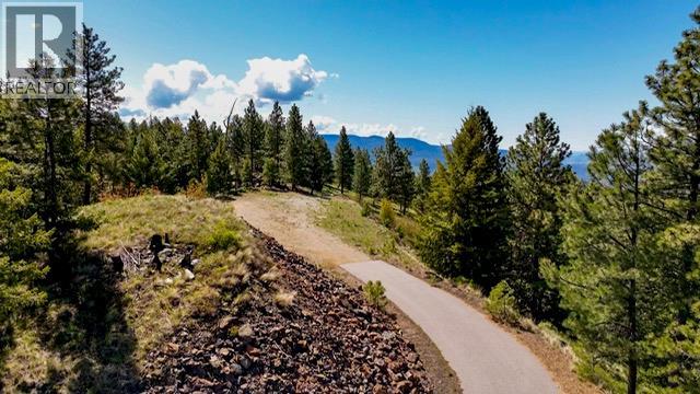470 Sasquatch Trail Trail, Osoyoos, British Columbia  V0H 1V6 - Photo 5 - 10394006