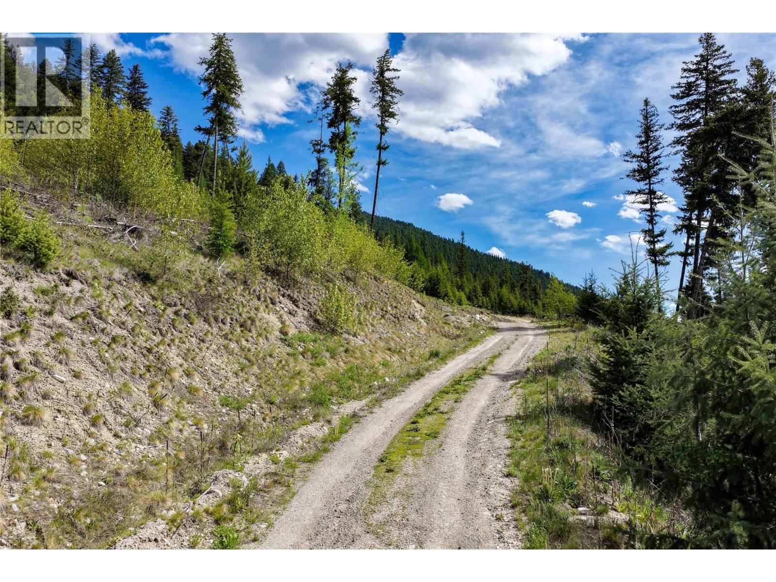 5550 Highway 33 Highway, Beaverdell, British Columbia  V0H 1A0 - Photo 36 - 10393997