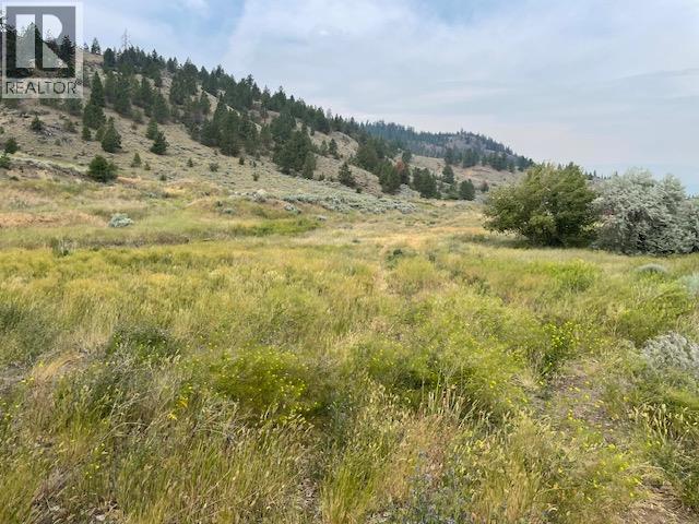 1129 Midday Valley Road, Merritt, British Columbia  V1K 0A3 - Photo 1 - 10394219