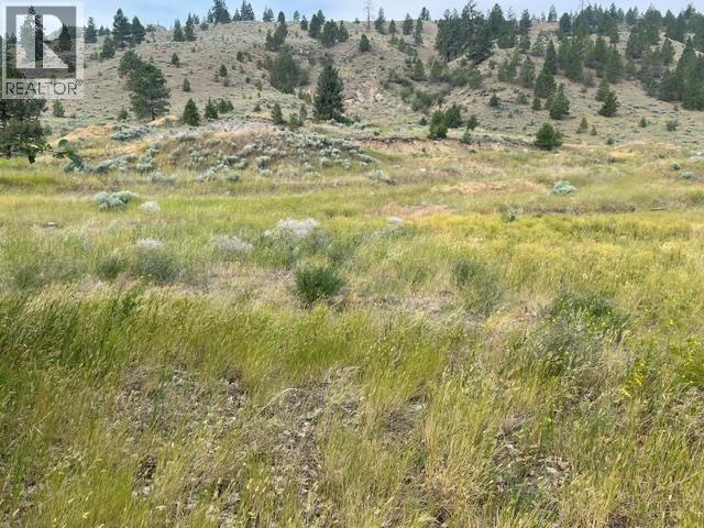 1129 Midday Valley Road, Merritt, British Columbia  V1K 0A3 - Photo 2 - 10394219
