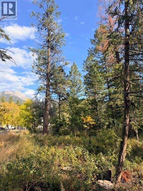 Columbia Place Lot# A, Fairmont Hot Springs, British Columbia  V0B 1L2 - Photo 14 - 10394240