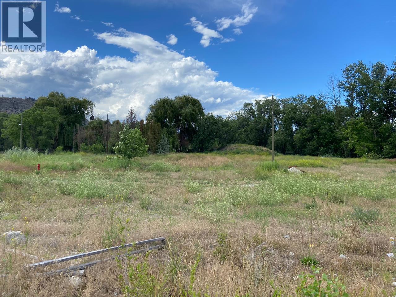 210 Co-Op Avenue Unit# Proposed Lot# 3, Oliver, British Columbia  V0H 1T0 - Photo 13 - 10393935