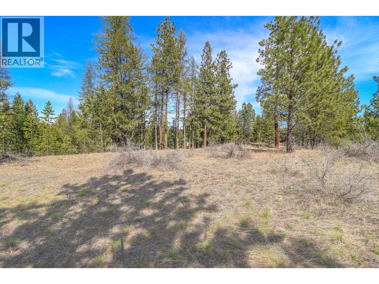 241 Corral Boulevard, Cranbrook, British Columbia  V1C 0C2 - Photo 1 - 10394118