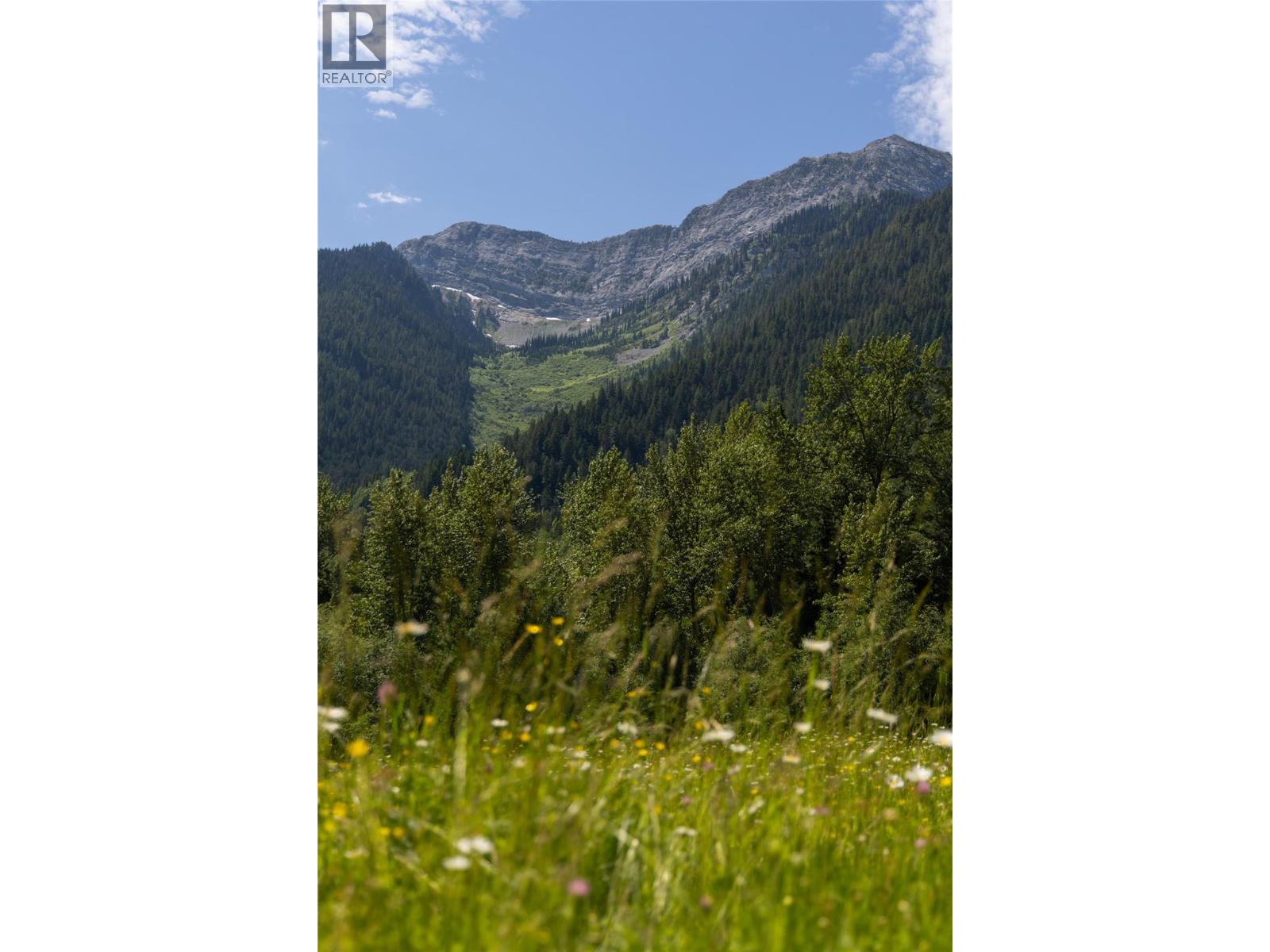 4485 Highway 3, Fernie, British Columbia  V0B 1M1 - Photo 15 - 10394193