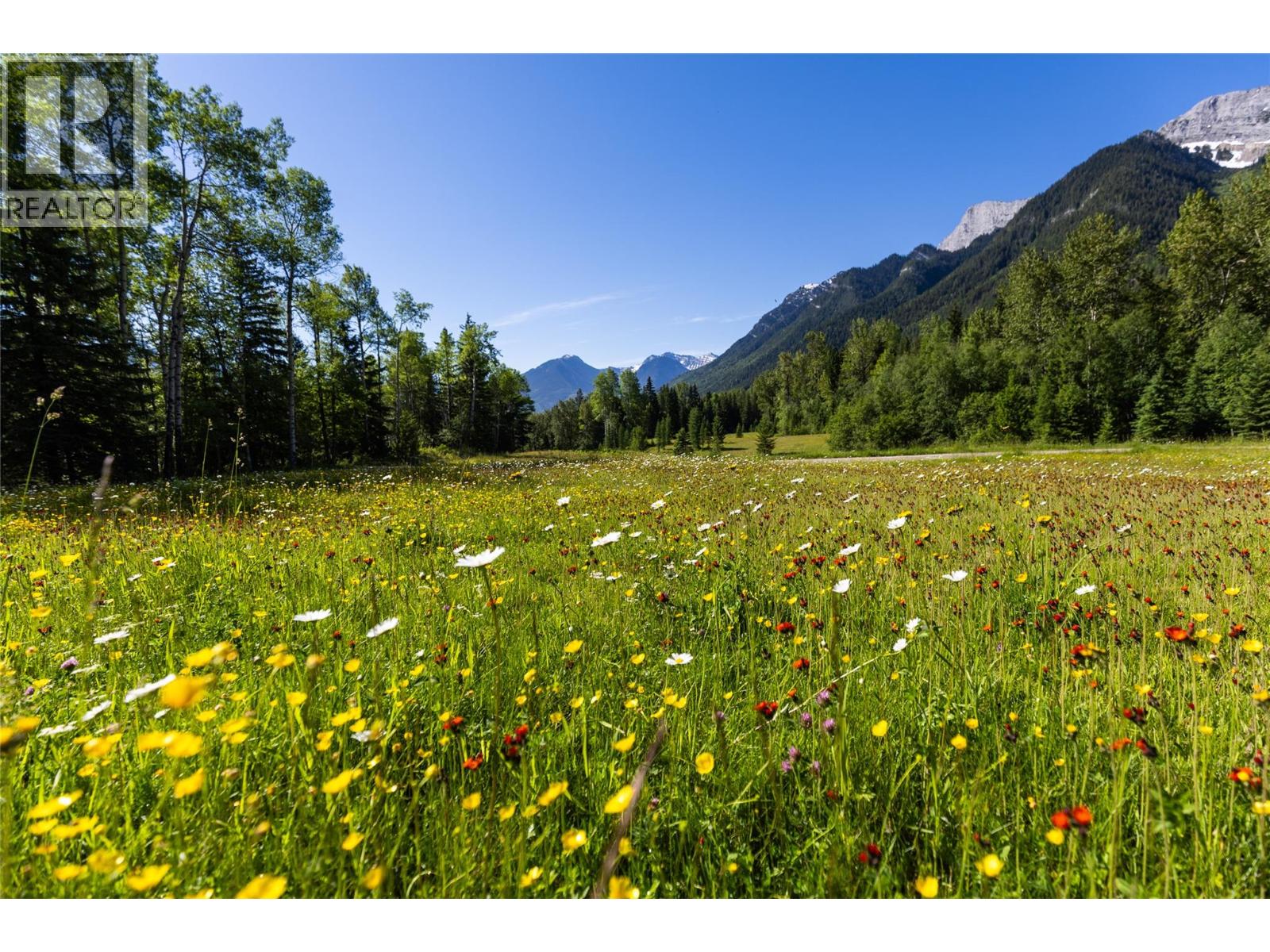 4485 Highway 3, Fernie, British Columbia  V0B 1M1 - Photo 9 - 10394193