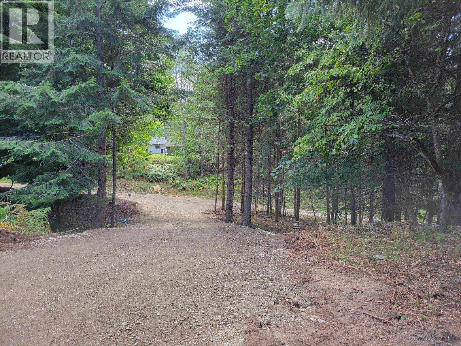 Parcel A 11th Avenue, New Denver, British Columbia  V0G 1S1 - Photo 1 - 10394332