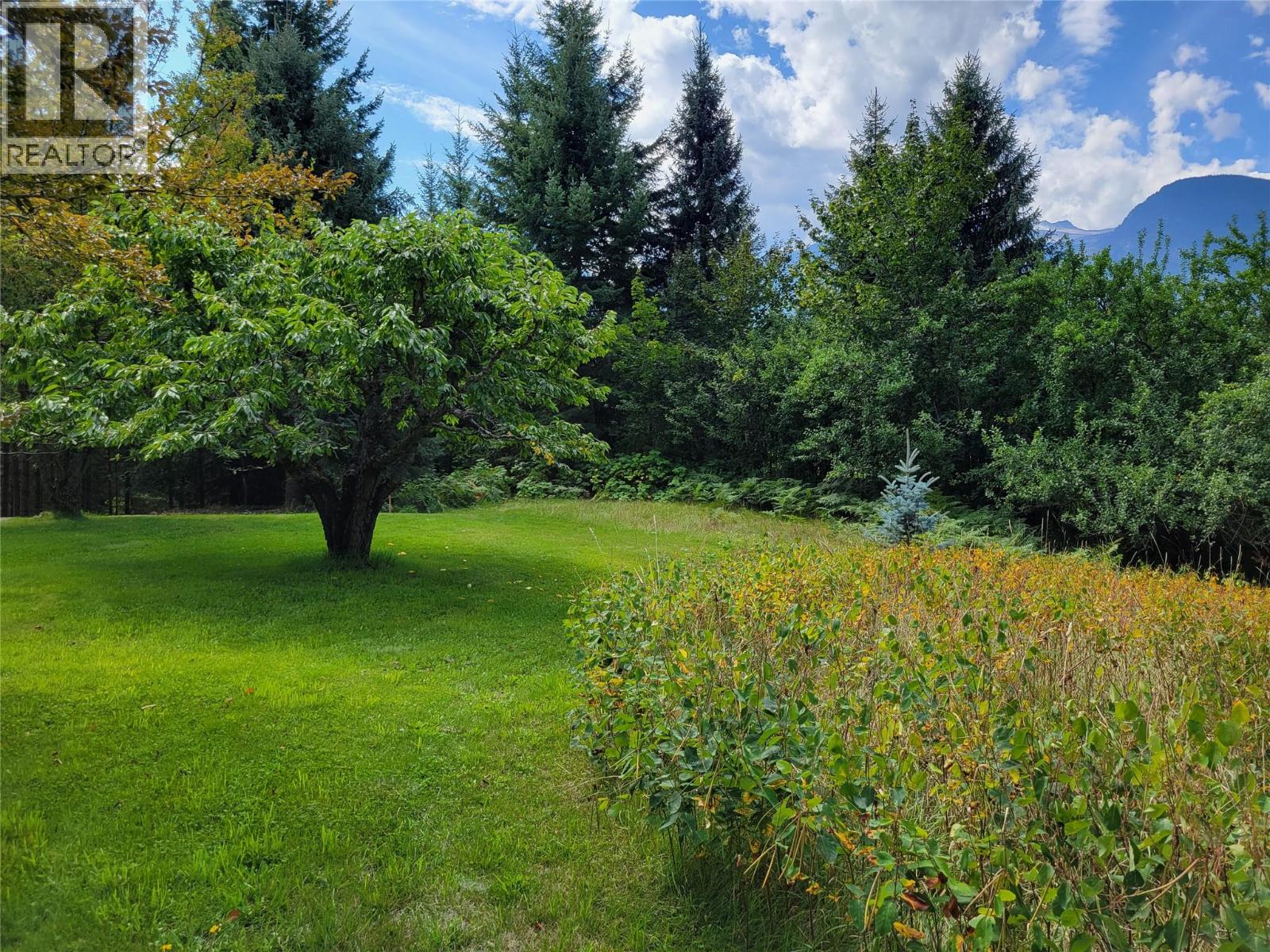 Parcel A 11th Avenue, New Denver, British Columbia  V0G 1S1 - Photo 3 - 10394332