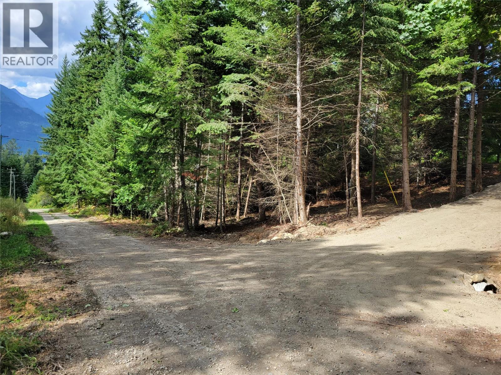 Parcel A 11th Avenue, New Denver, British Columbia  V0G 1S1 - Photo 9 - 10394332