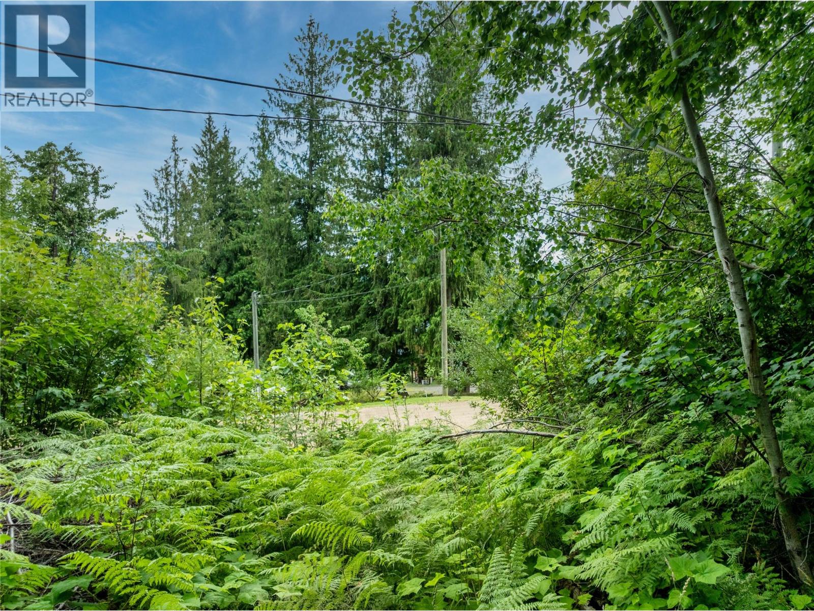 Mountain Drive Lot# 40, Anglemont, British Columbia  V0E 1M8 - Photo 11 - 10394158