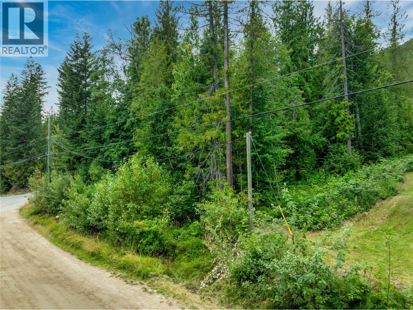 Mountain Drive Lot# 40, Anglemont, British Columbia  V0E 1M8 - Photo 12 - 10394158