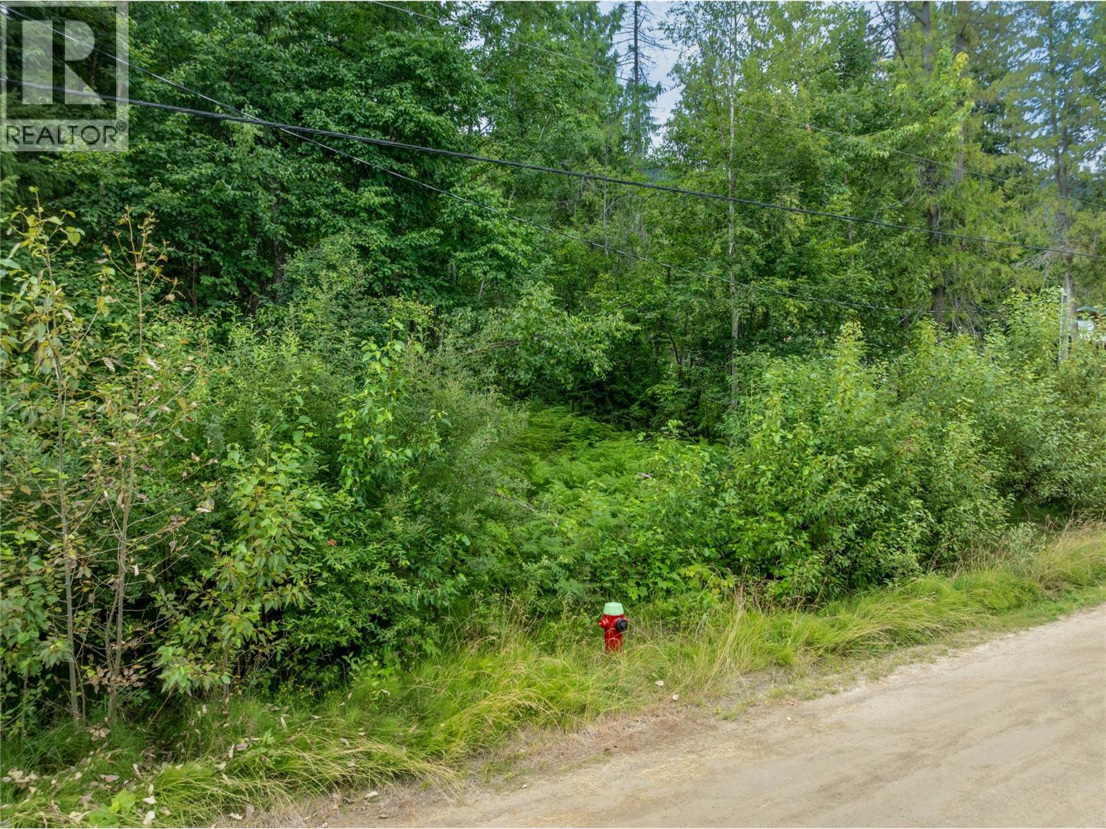 Mountain Drive Lot# 40, Anglemont, British Columbia  V0E 1M8 - Photo 13 - 10394158