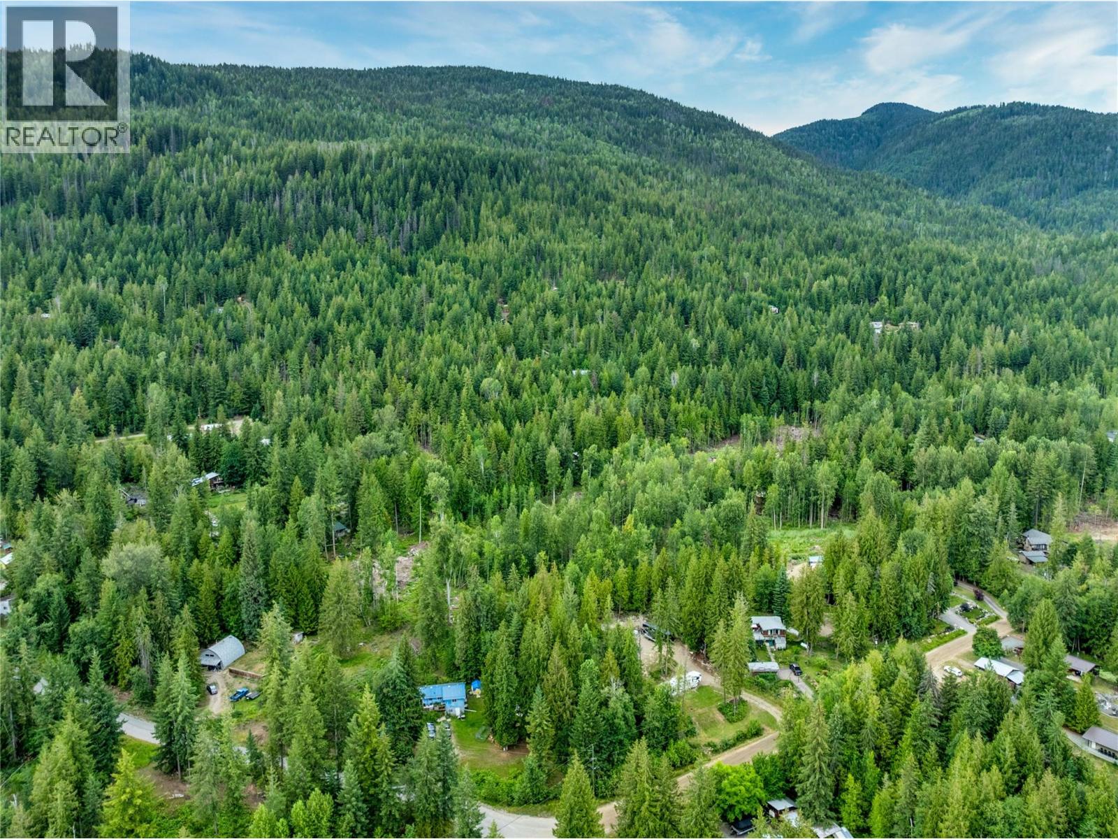 Mountain Drive Lot# 40, Anglemont, British Columbia  V0E 1M8 - Photo 16 - 10394158