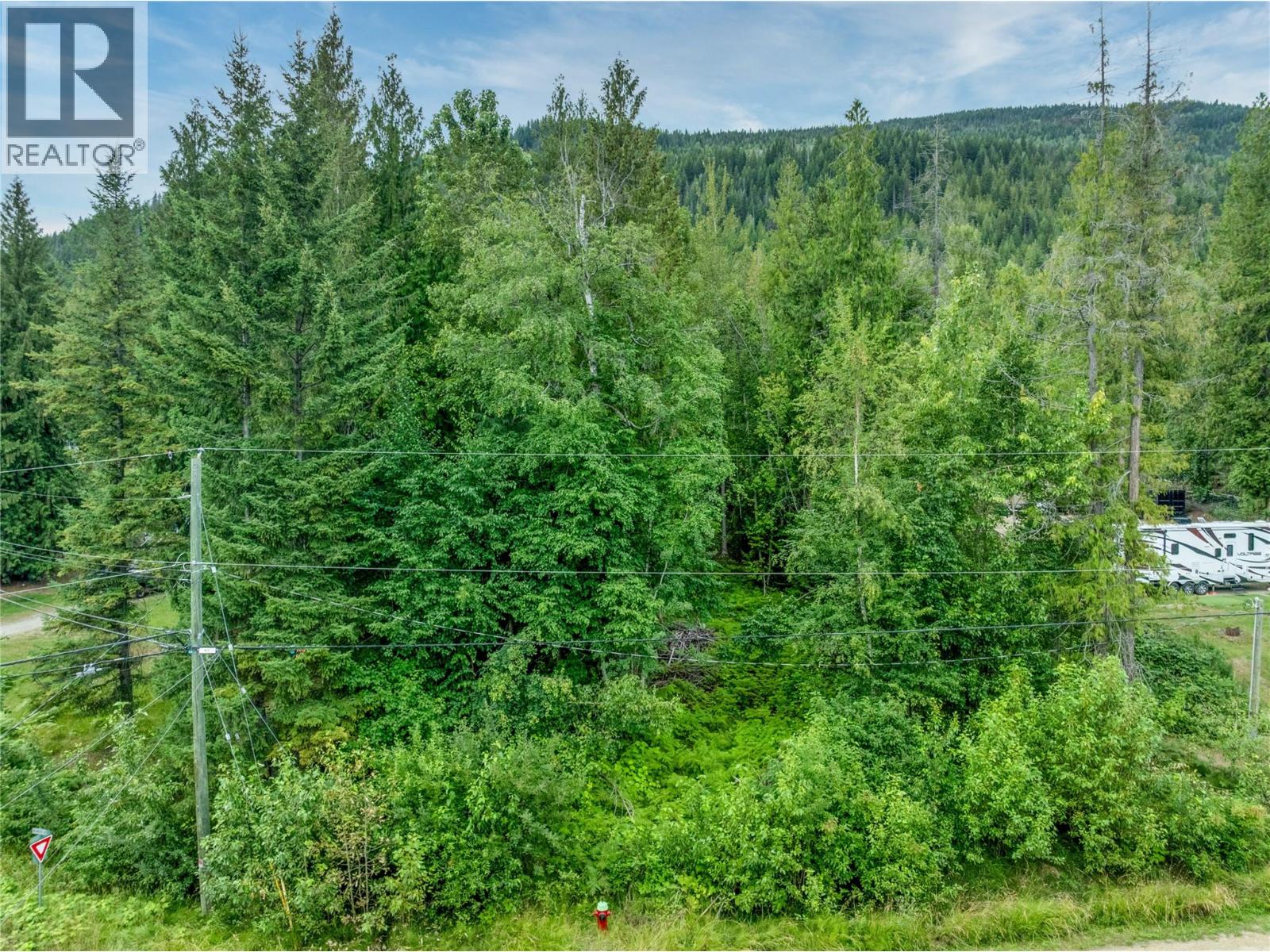 Mountain Drive Lot# 40, Anglemont, British Columbia  V0E 1M8 - Photo 3 - 10394158