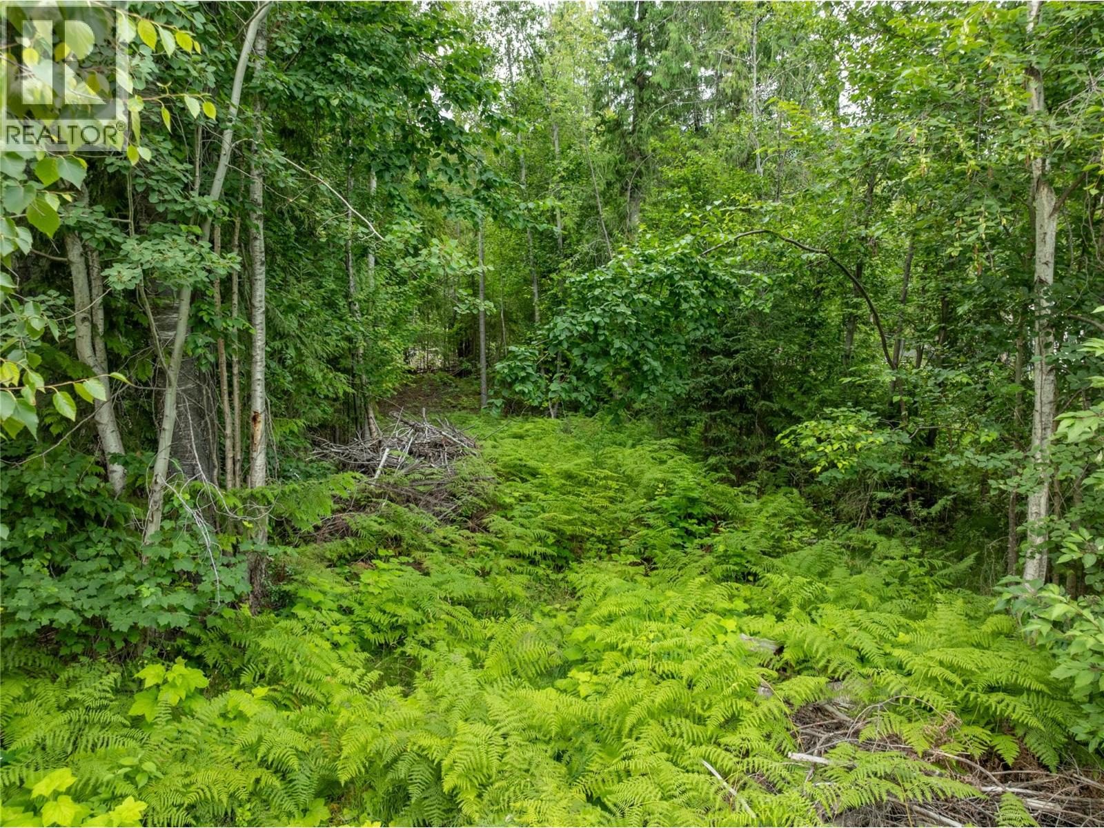 Mountain Drive Lot# 40, Anglemont, British Columbia  V0E 1M8 - Photo 5 - 10394158