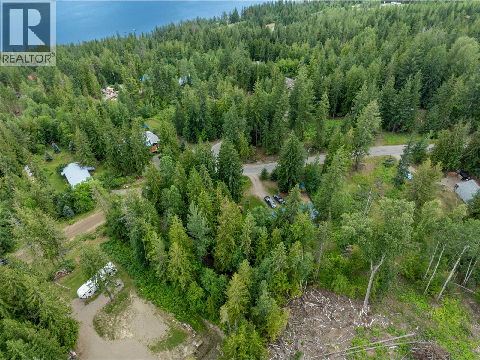 Mountain Drive Lot# 40, Anglemont, British Columbia  V0E 1M8 - Photo 6 - 10394158
