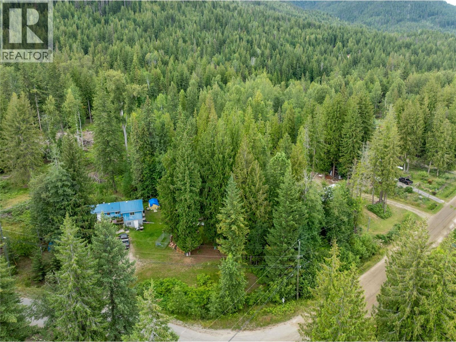 Mountain Drive Lot# 40, Anglemont, British Columbia  V0E 1M8 - Photo 9 - 10394158