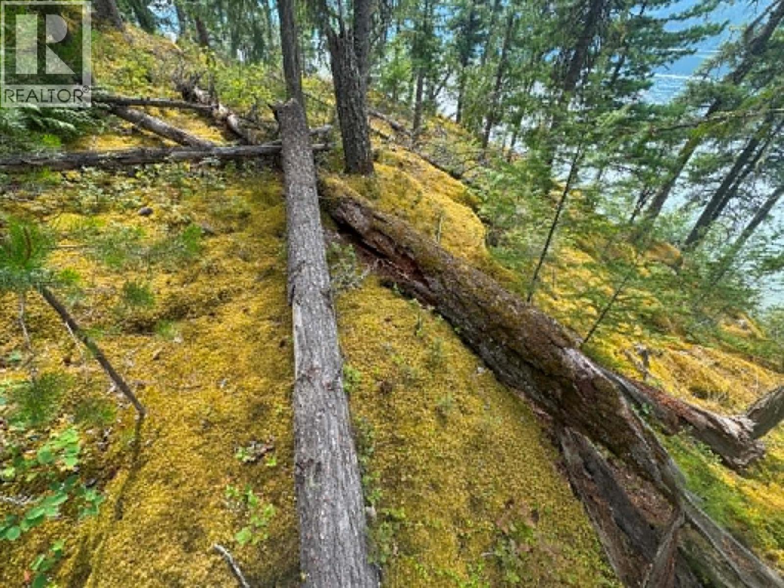 Lot 5 Anstey Arm Bay Unit# N Queest, Anstey Arm, British Columbia  V0E 2J0 - Photo 9 - 10394561