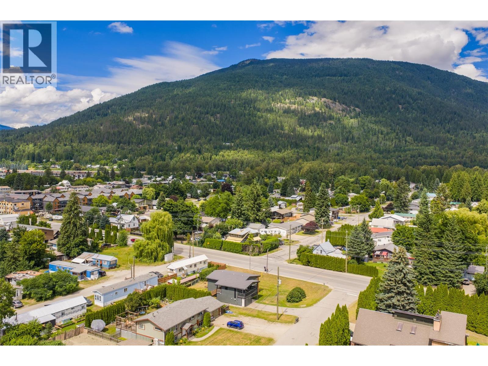 601 Barry Road, Revelstoke, British Columbia  V0E 2S0 - Photo 12 - 10391950