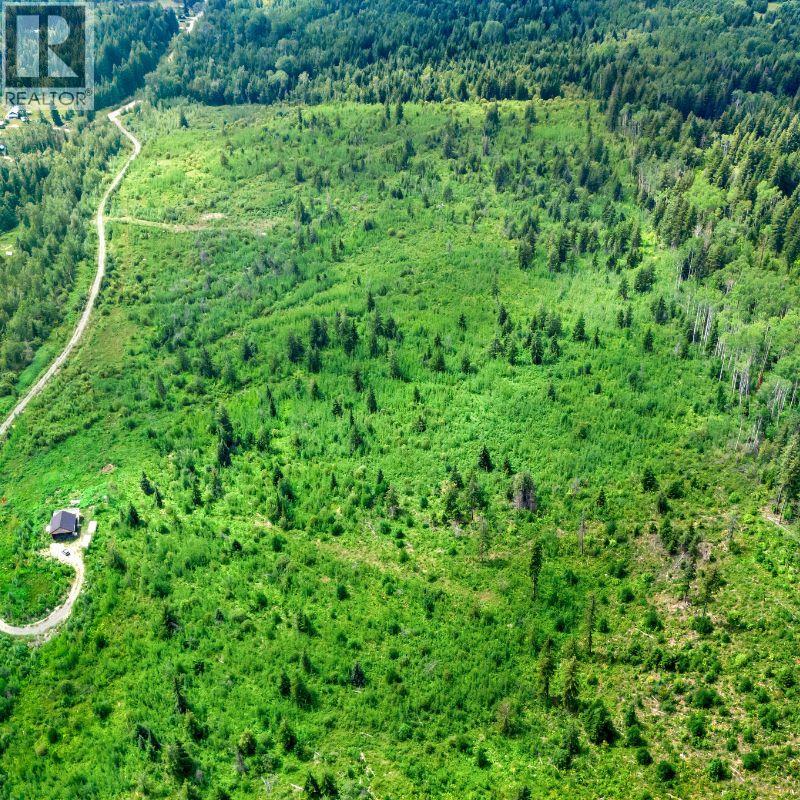 Lot 2 Barber Road, Clearwater, British Columbia  V0E 1N1 - Photo 8 - 10394722