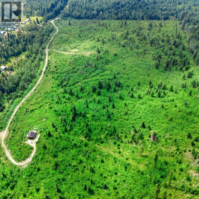Lot 2 Barber Road, Clearwater, British Columbia  V0E 1N1 - Photo 9 - 10394722