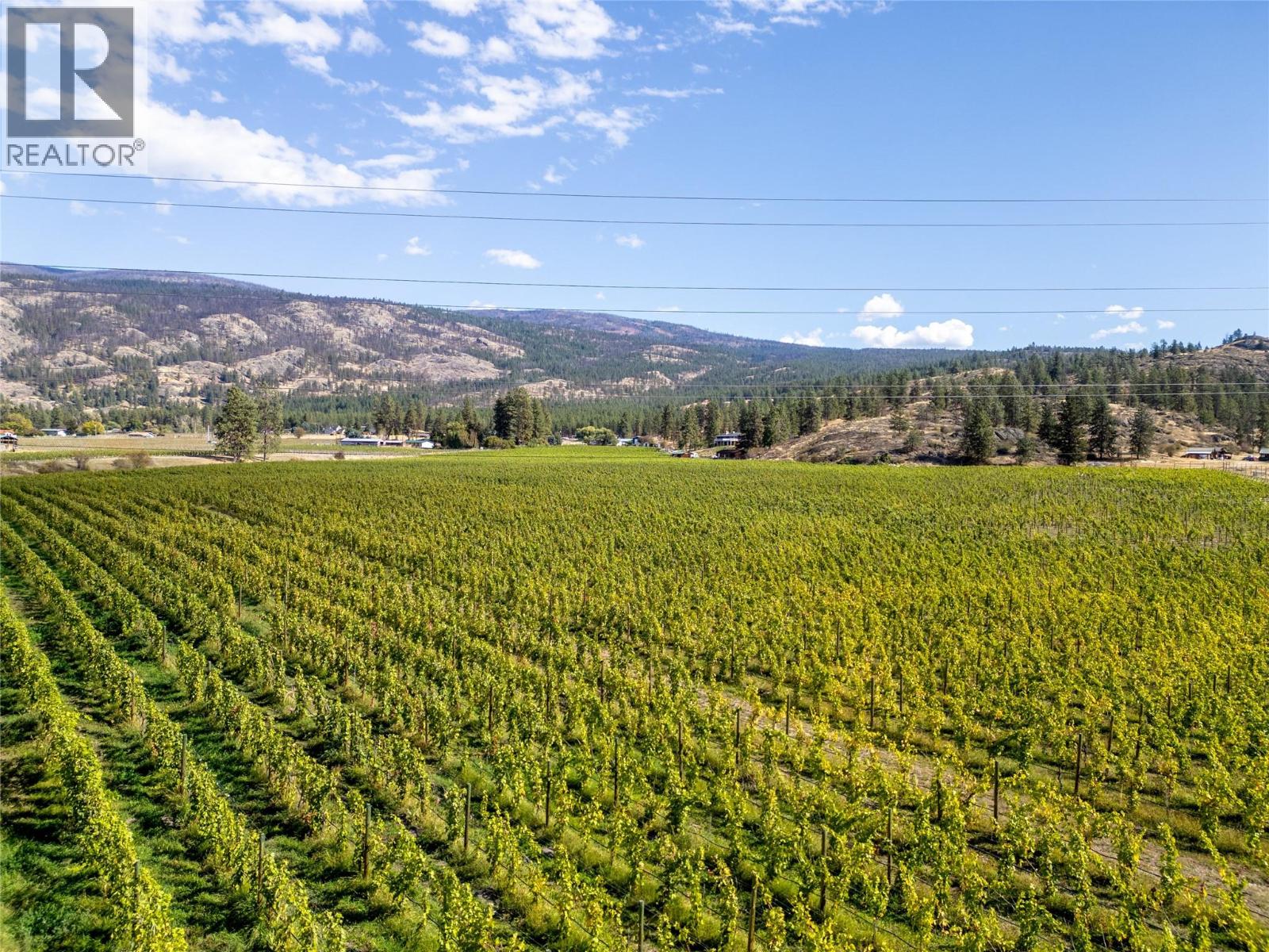 1580 Chapman Road, Okanagan Falls, British Columbia  V0H 1R1 - Photo 10 - 10394788