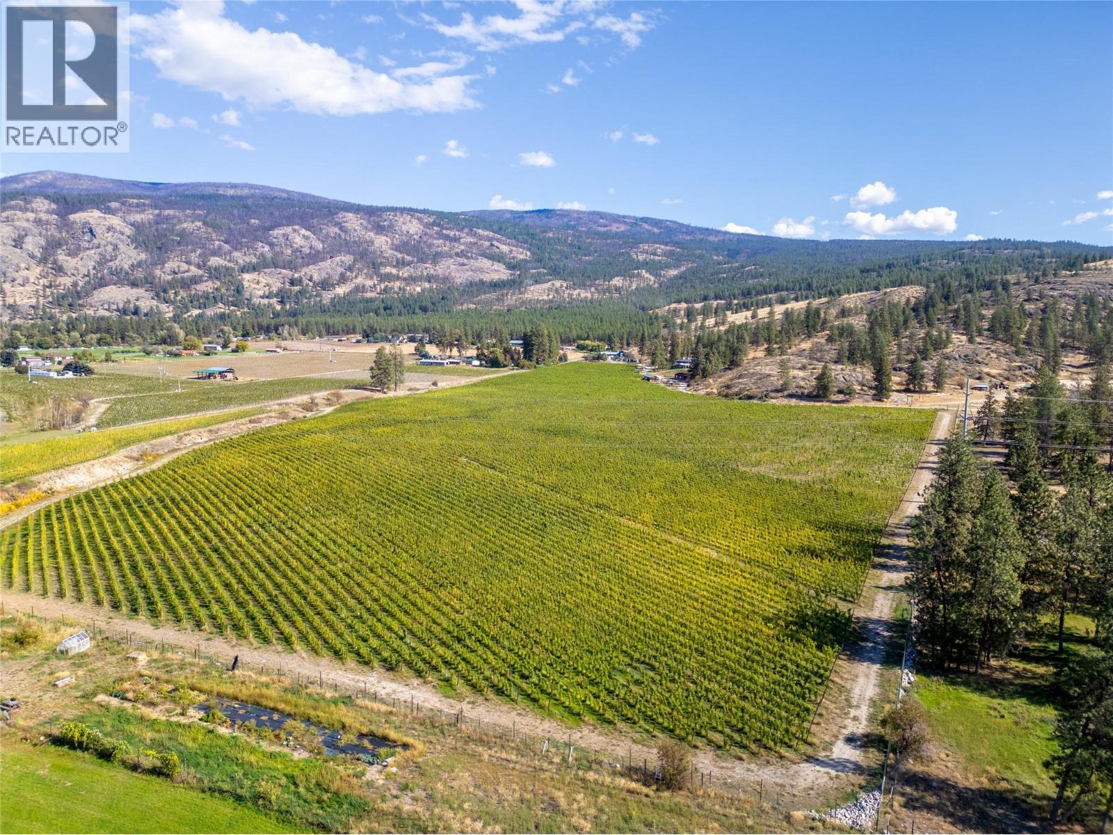 1580 Chapman Road, Okanagan Falls, British Columbia  V0H 1R1 - Photo 11 - 10394788