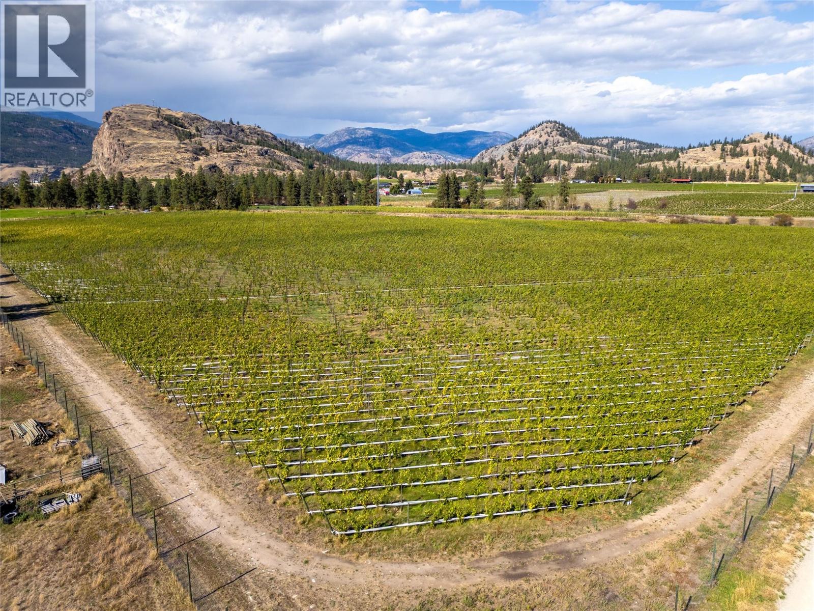 1580 Chapman Road, Okanagan Falls, British Columbia  V0H 1R1 - Photo 7 - 10394788