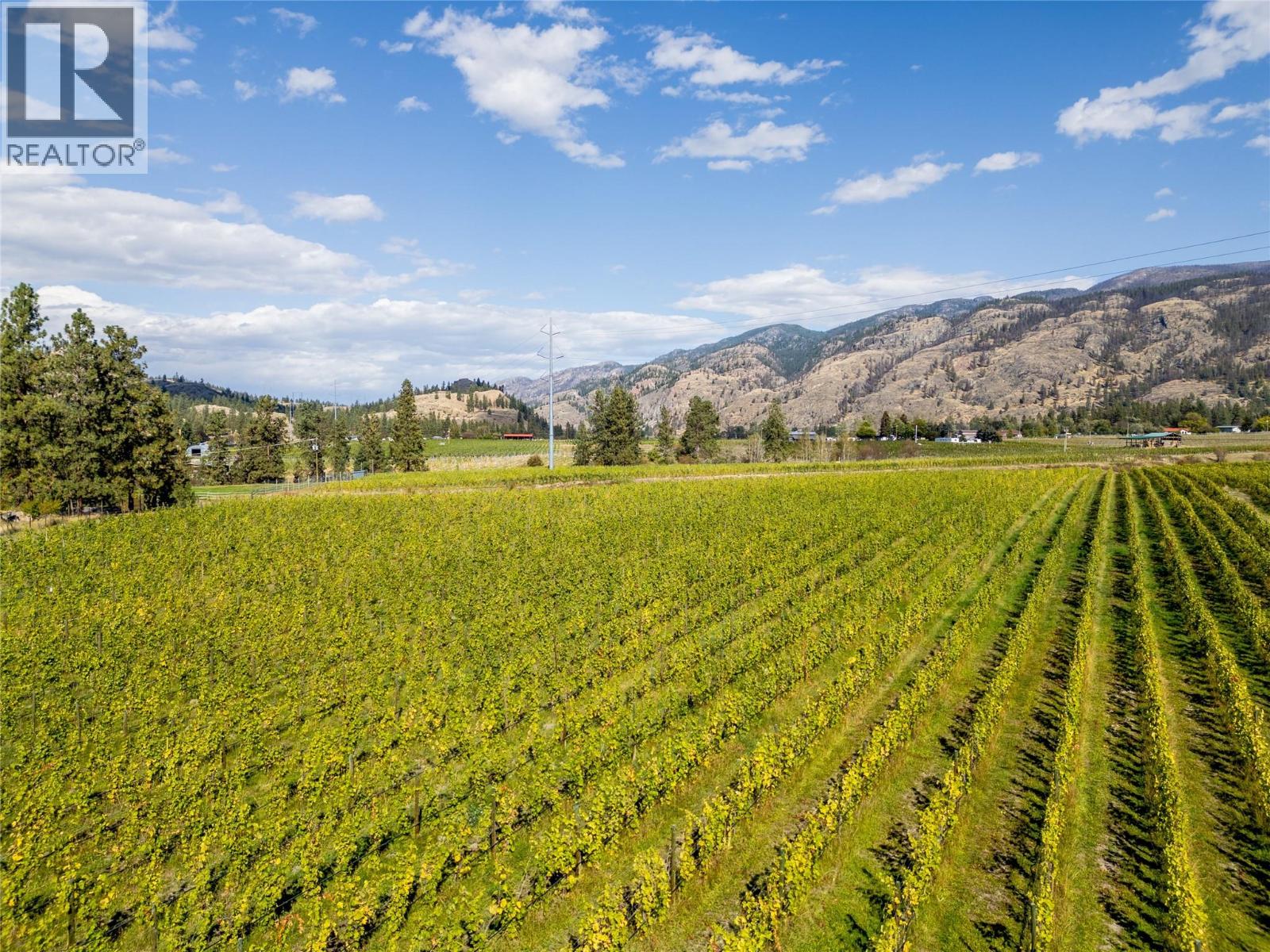 1580 Chapman Road, Okanagan Falls, British Columbia  V0H 1R1 - Photo 8 - 10394788