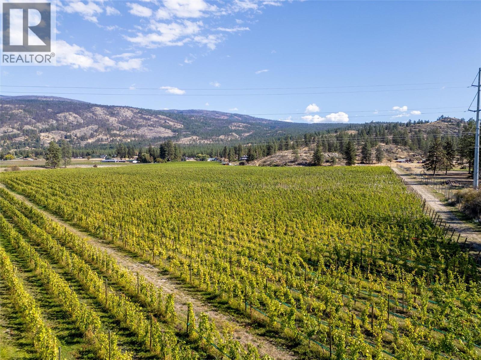 1580 Chapman Road, Okanagan Falls, British Columbia  V0H 1R1 - Photo 9 - 10394788