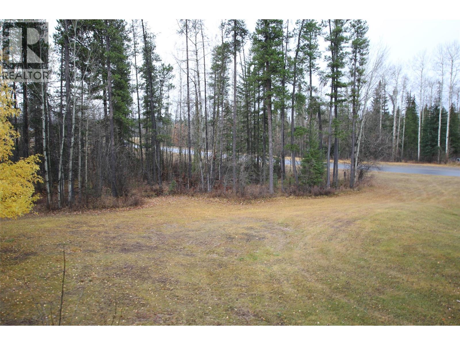 195 Chamberlain Crescent Unit# 206, Tumbler Ridge, British Columbia  V0C 2W0 - Photo 12 - 10394713