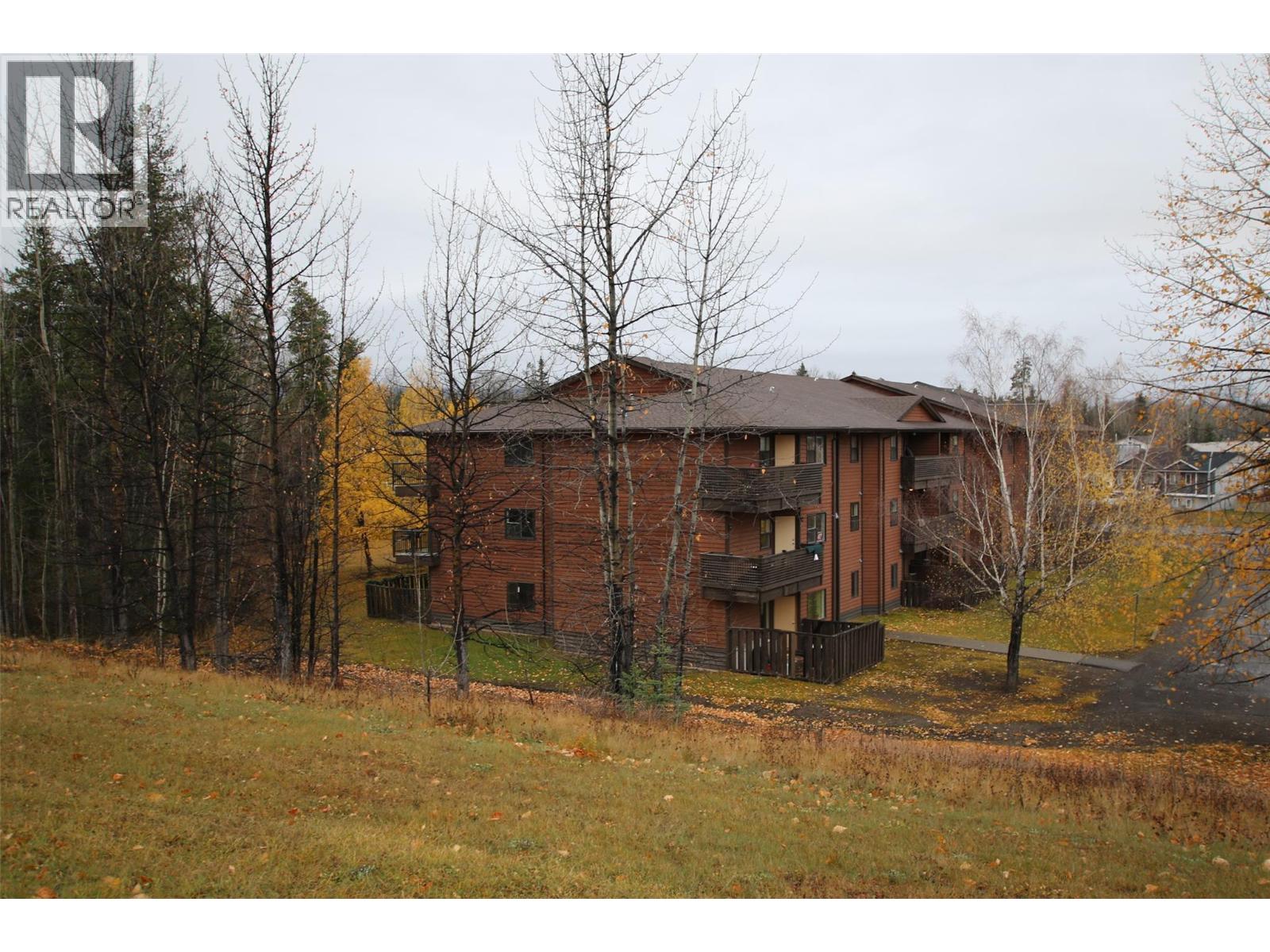 195 Chamberlain Crescent Unit# 206, Tumbler Ridge, British Columbia  V0C 2W0 - Photo 17 - 10394713