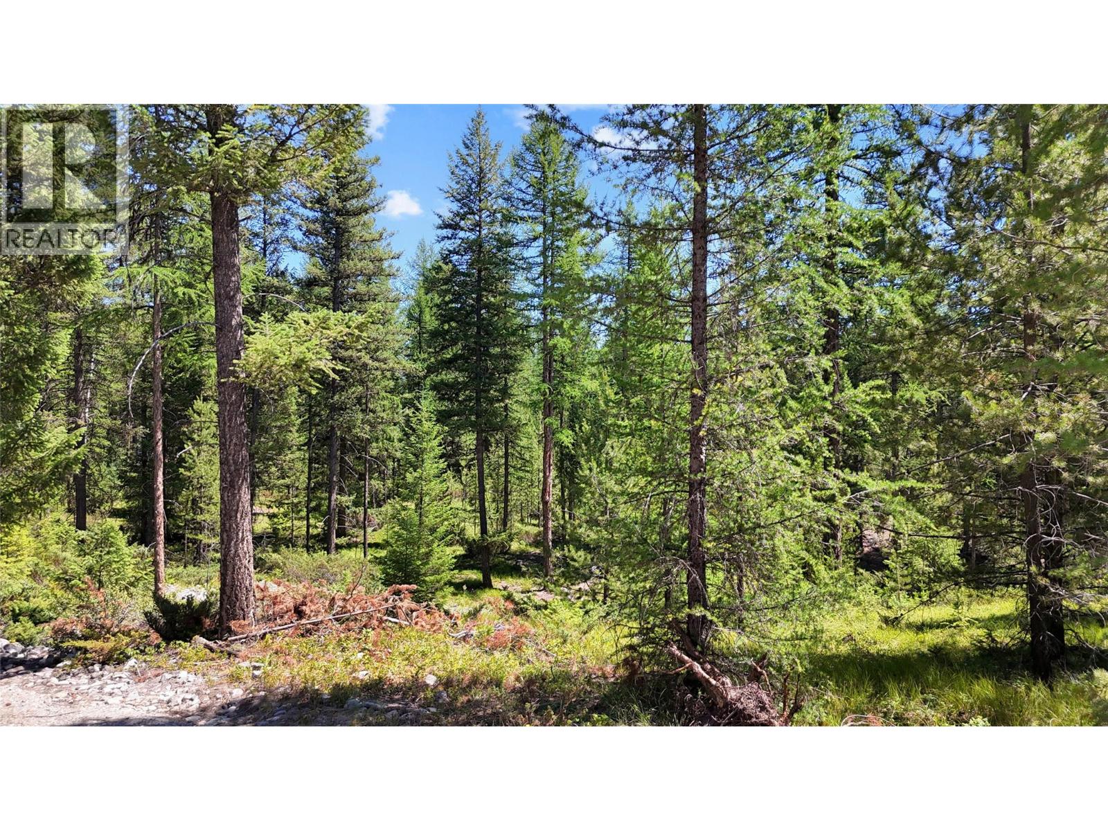 Lot 3 Lakeview Drive, Cranbrook, British Columbia  V1C 6W4 - Photo 11 - 10394606